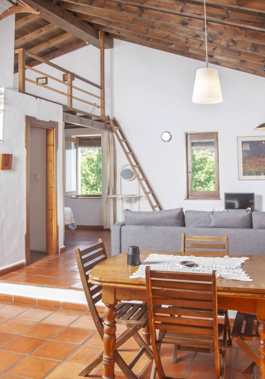 Aguafria04b IMG 6639 1